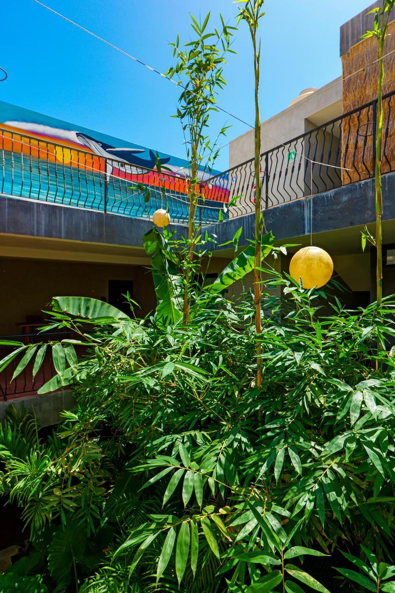 Calea Tulum Ξενοδοχείο Εξωτερικό φωτογραφία